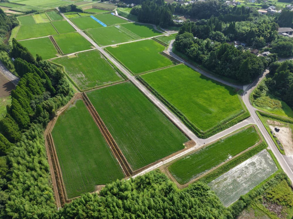 dji_fly_20250715_090924_0009_1752539683060_photo.jpg
