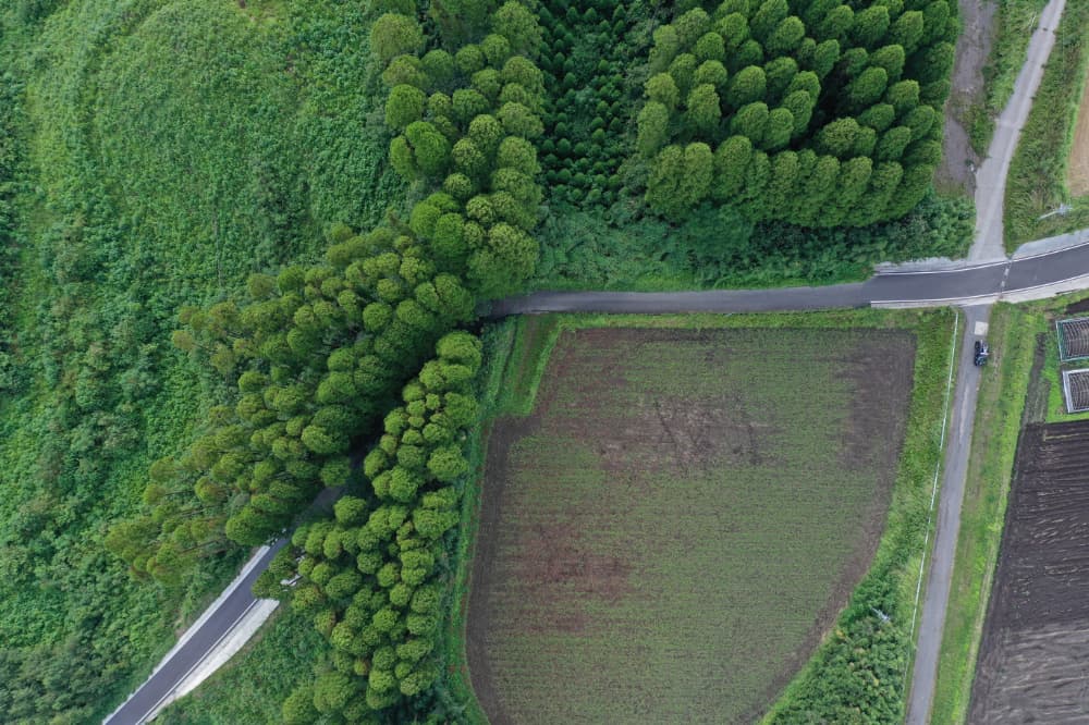 dji_0058.jpg